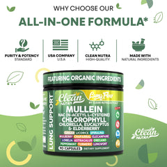 Non-GMO plant-based capsules in bottle