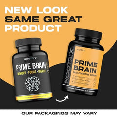 Graphic showing Ginkgo Biloba and Lion’s Mane ingredients