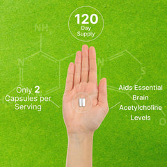 Graphic highlighting memory and focus benefits of Alpha GPC nootropic