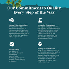 Herbal formula for mental clarity and energy