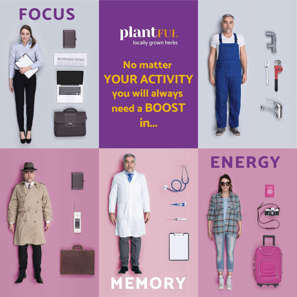 Bacopa monnieri herb included for memory and learning