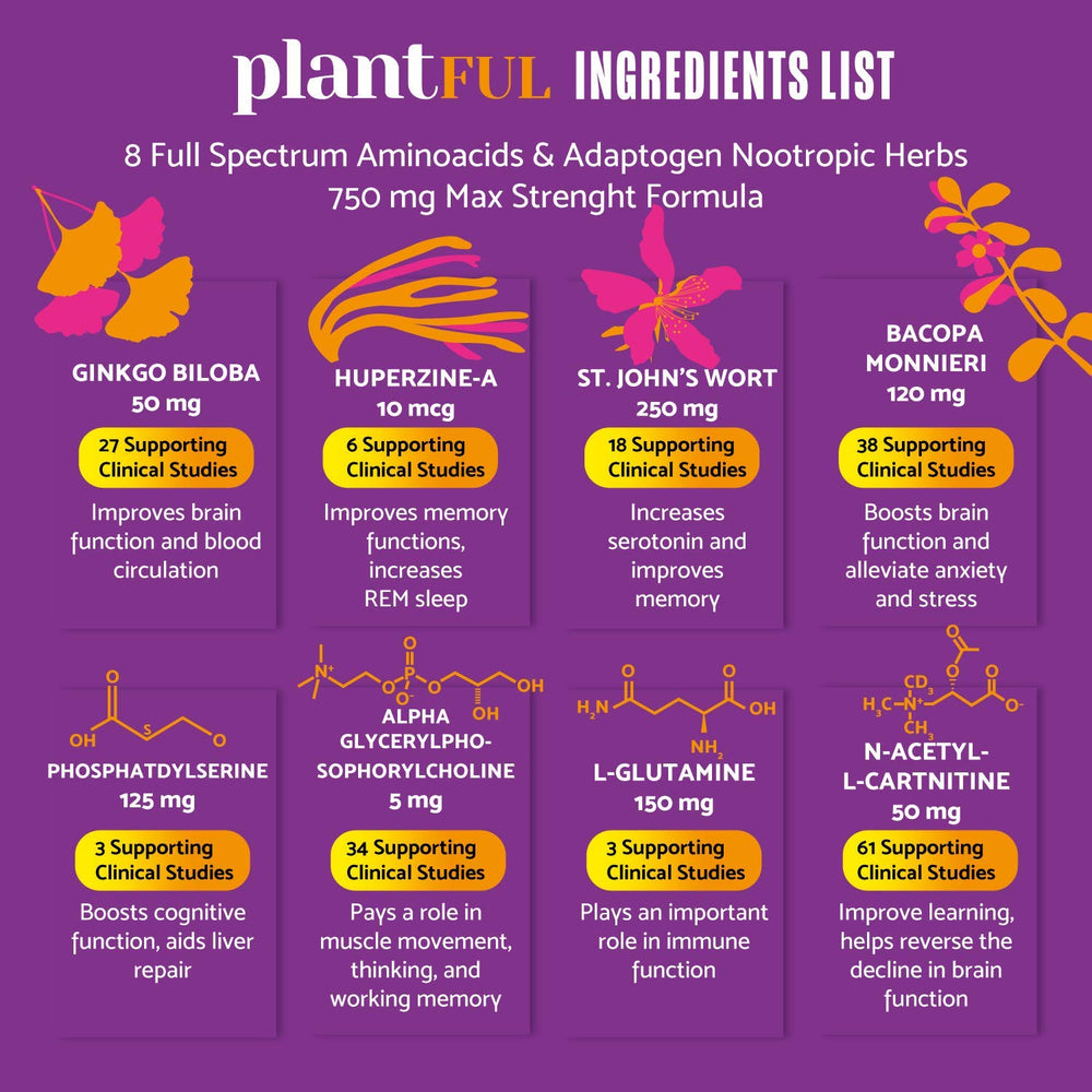 Ginkgo biloba ingredient used in the nootropic formula