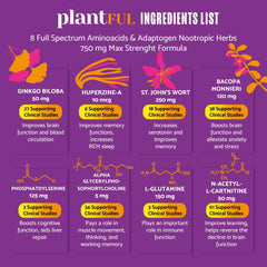 Ginkgo biloba ingredient used in the nootropic formula