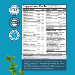 Ingredients close-up: Bacopa Monnieri and B vitamins