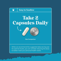 Huperzine A, DMAE and Bacopa monnieri highlights