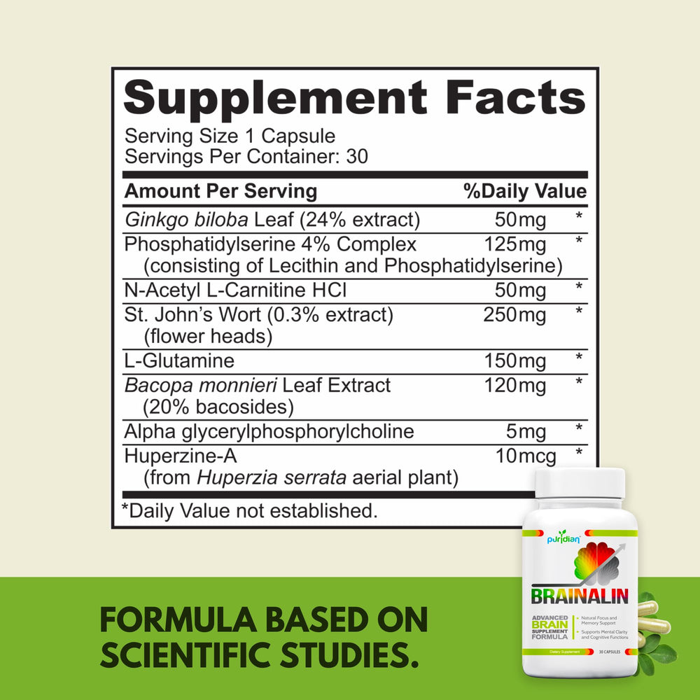 Ginkgo, Bacopa, Alpha-GPC nootropic ingredients