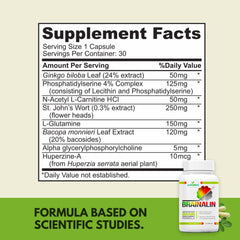Ginkgo, Bacopa, Alpha-GPC nootropic ingredients