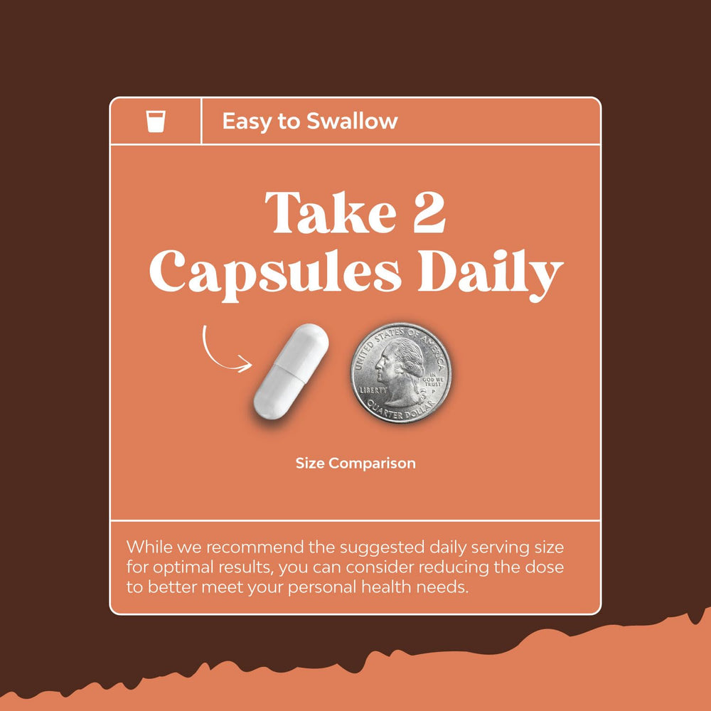 Nootropic mushroom supplement designed for memory and focus