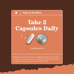 Nootropic mushroom supplement designed for memory and focus