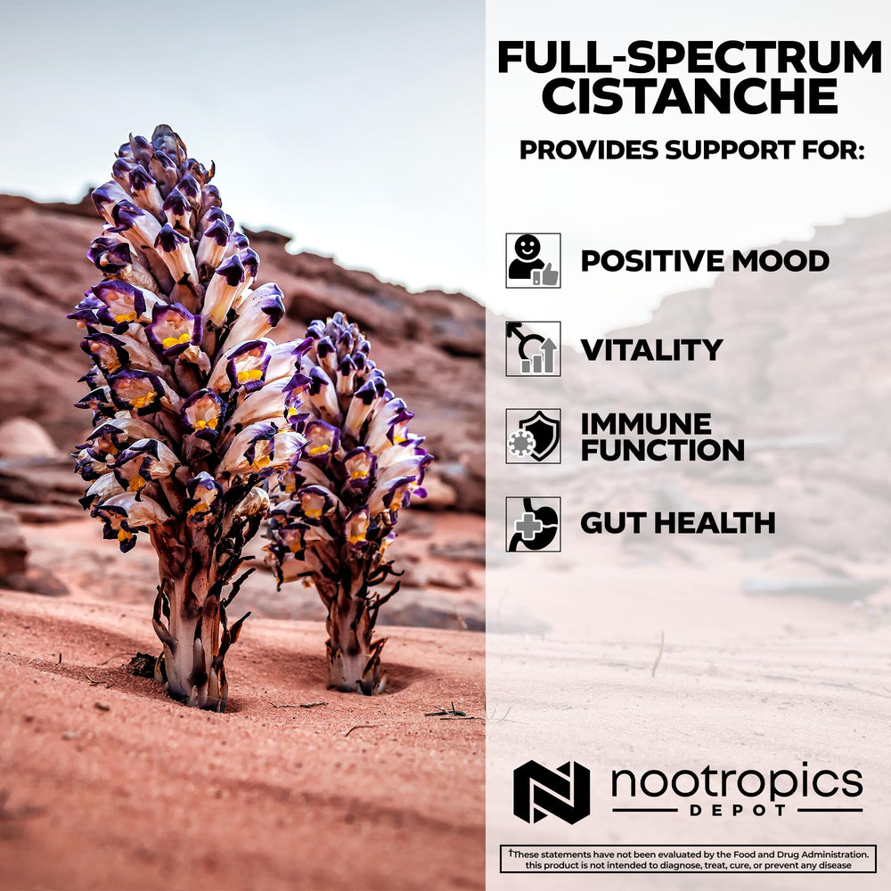Nootropics Depot Cistanche bottle on desk highlights convenient daily supplementation