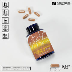 Nootropics Depot Cistanche capsules in hand ready for daily focus and endurance