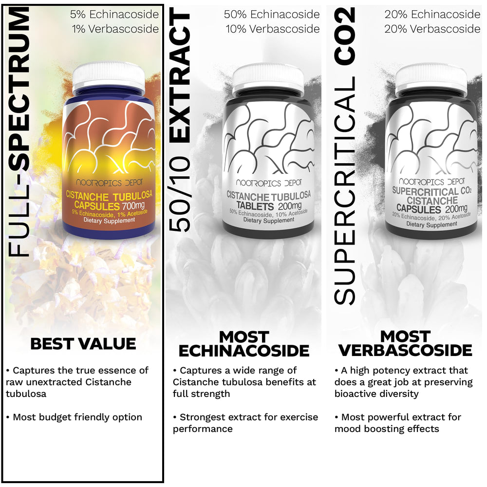 Nootropics Depot Cistanche packaging view communicates quality and standardized bioactives