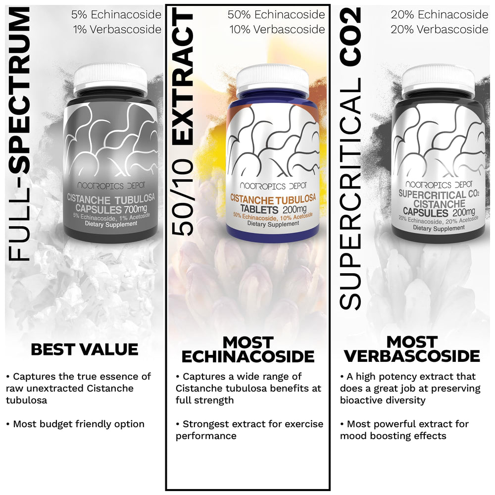 Nootropics Depot Cistanche Tubulosa tablets gut-brain connection hinting mood and focus benefits.