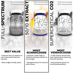 Nootropics Depot Cistanche Tubulosa tablets nootropic benefits for focus and cognitive clarity.