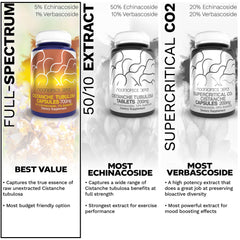 Nootropics Depot label on cistanche tubulosa capsules bottle