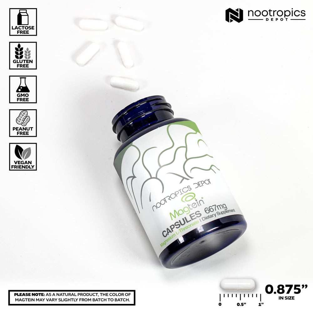 Cognitive support supplement Magtein by Nootropics Depot