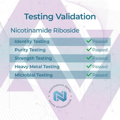 NAD+ precursor information related to Nicotinamide Riboside Capsules