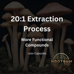 Close-up of Nootrum Mushrooms label