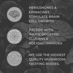 Nootrum Mushrooms packaging