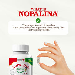Graphic highlighting digestive health benefits of Nopalina capsules
