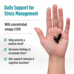 Nordic Naturals commitment to ethical innovation and sustainable sourcing.