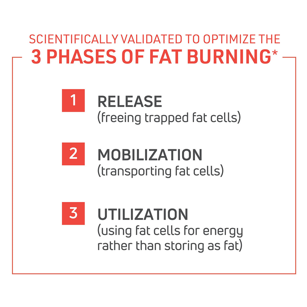 ThermoDyne packaging box and bottle on white background