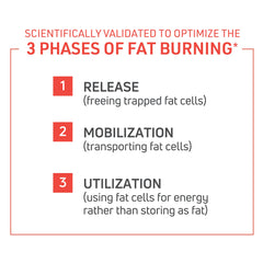 ThermoDyne packaging box and bottle on white background