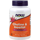 NOW Choline and Inositol 500mg bottle – front view