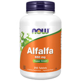 NOW Foods Alfalfa 650 mg bottle with 250 tablets – front view