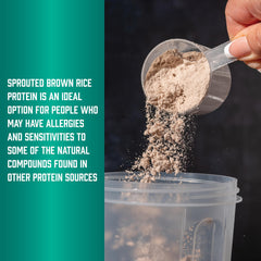 NOW Foods Sprouted Brown Rice Protein Powder ingredients focus on natural protein source
