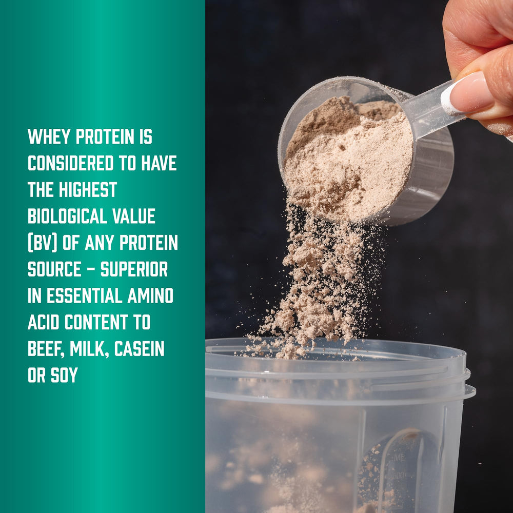 NOW Foods Whey Protein Isolate creamy chocolate flavor close-up for indulgent taste