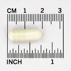 Vegetarian capsule zinc supplement