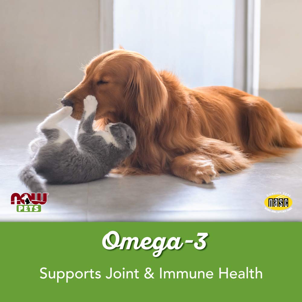 Cat with NOW Omega-3 Mini Gels supplement