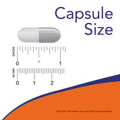 180 vegetarian capsules bottle on white background