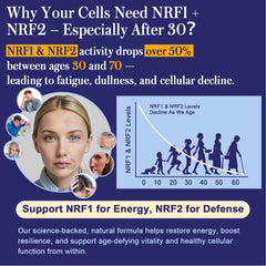 60-capsule NRF1 NRF2 supplement bottle