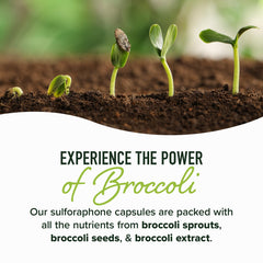 NRF2 activation infographic highlighting cellular health benefits