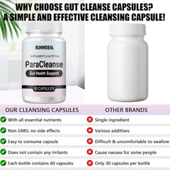 Nature-powered gut health benefits illustration