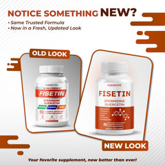 Professional focusing in a meeting after taking NURAFUSE Fisetin capsule