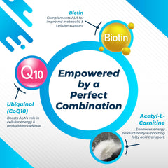 Illustration of Ubiquinol CoQ10