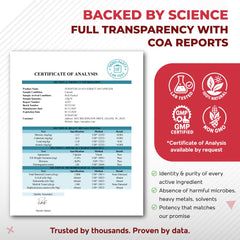 NURAFUSE Digestive Support Botanicals image hints comfort after meals