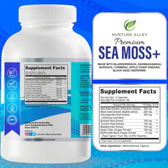 Herbal ingredients concept with sea moss and botanicals