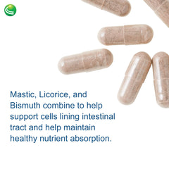 Capsules and packaging of Gastric Support Complex