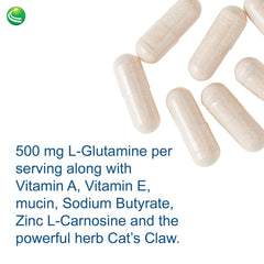 Capsules arranged in a row to highlight size and texture