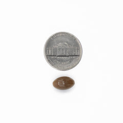 Gluten-free and non-GMO packaging for Nutra Nutrition Ginkgo Biloba 80 mg