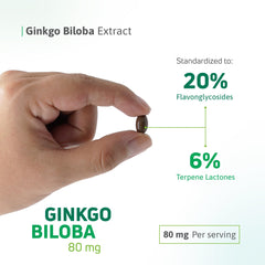 Supplement facts panel of Nutra Nutrition Ginkgo Biloba 80 mg