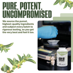 Box packaging and bottle of NutraBio Ashwagandha