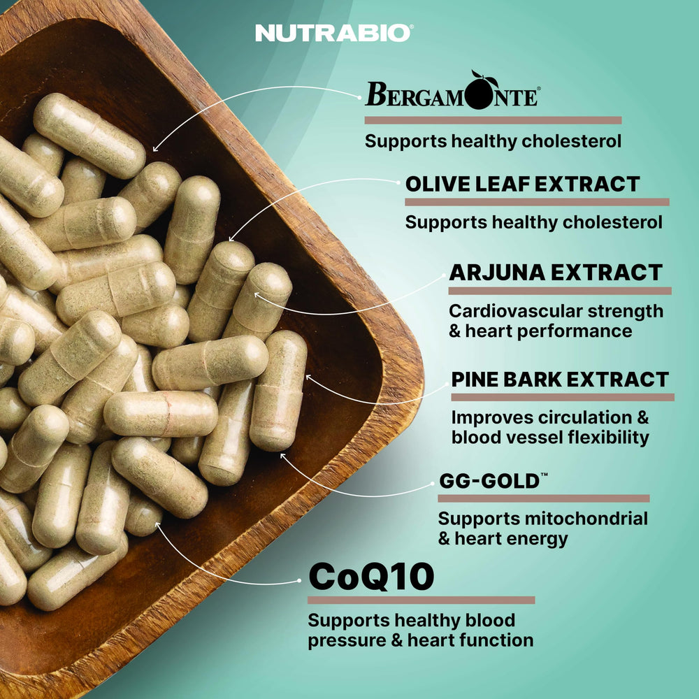 Illustration of healthy heart and arteries