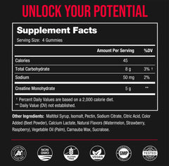 Sugar-free claim on NutraChamps Creatine Gummies packaging