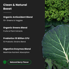 Super Greens powder in a shaker bottle