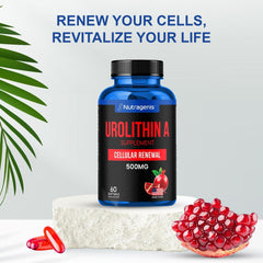 Globally sourced ingredients concept for Nutragenis Urolithin A